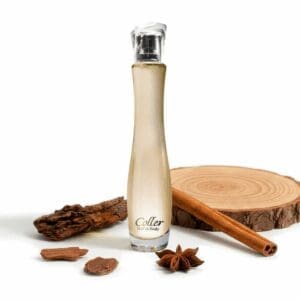 ESD206 - BASE AMBICIA