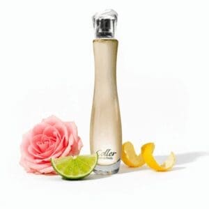 ESD228 - BASE CHAMPION 5