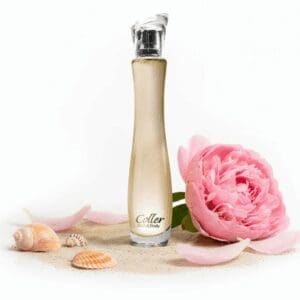 ESD275 - BASE MALAIA