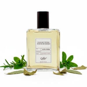 ESD408 - BASE AVENTURA